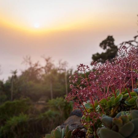 Casa Barreros Villa Arecida Eksteriør bilde